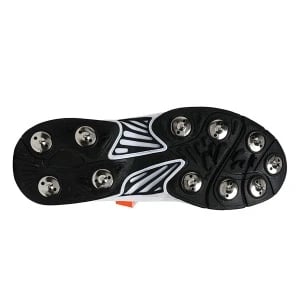 Puma evoSpeed 18.1 Cricket Bowl Shoes
