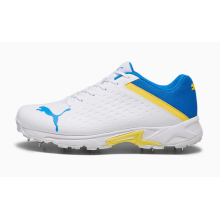 Buy Puma Spike 22.2 Cricket Shoes