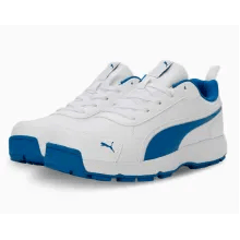 Buy Puma Classic Cat Rubber Cricket Shoes