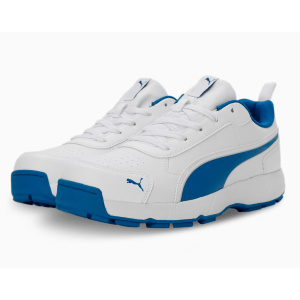 Buy Puma Classic Cat Rubber Cricket Shoes