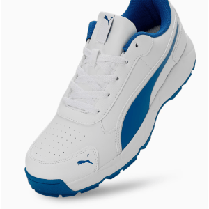 Buy Puma Classic Cat Rubber Cricket Shoes