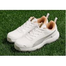 Buy Puma Classic Cat Rubber Cricket Shoes
