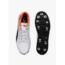 Puma Team Full Spike Il Cricket Shoes