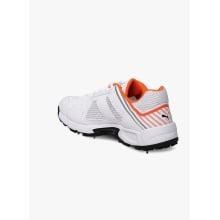 Puma Team Full Spike Il Cricket Shoes