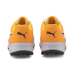 Puma Spike 19.2 Orange Cricket Shoes