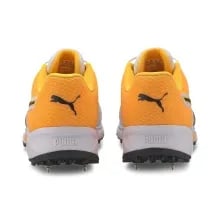 Puma Spike 19.2 Orange Cricket Shoes Puma Spike 19.2 Orange Cricket Shoes