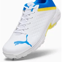 Buy Puma Spike 22.2 Cricket Shoes -2023 Edition Buy Puma Spike 22.2 Cricket Shoes -2023 Edition