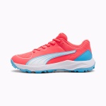 Puma 24 FH Rubber Cricket Shoes
