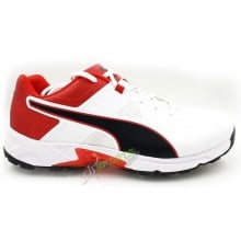 Puma Spike 19.1 Cricket Shoes
