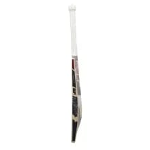 SF Pro Blaster 5000 English Willow Cricket Bat