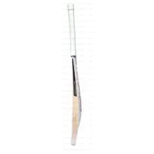 SF Strom English Willow Cricket Bat