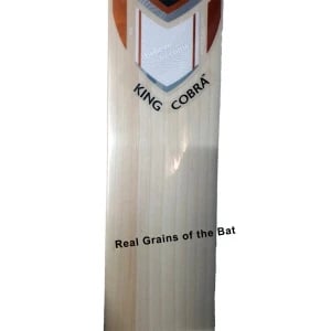 SG King Cobra English Willow Cricket Bat,  Full Size