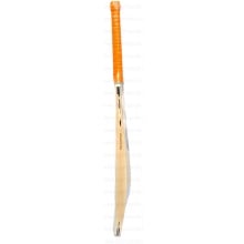 SG Roar icon cricket bat