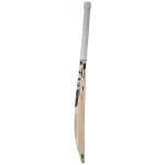 SG Roar LE English Willow Cricket Bat