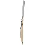 SG Roar LE English Willow Cricket Bat
