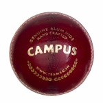 SG Campus (Red) Cricket Ball - Pack of 12