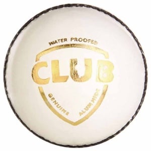 SG Club Leather Cricket Ball (White)