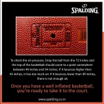 Spalding Basketball, Size 7 TF50