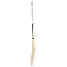 SS Devils (Green) English Willow Cricket Bat