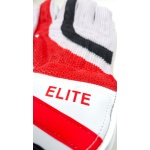 SS Elite Wicket Keeping Gloves