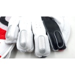 SS Elite Wicket Keeping Gloves