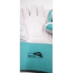 SS Match Wicket Keeping Gloves