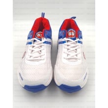 SS heritage spikes