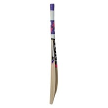 SS Ton Blaster Kashmir Willow Cricket Bat