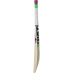 SS Ton Power Plus Kashmir Willow Cricket Bat, Size - SH