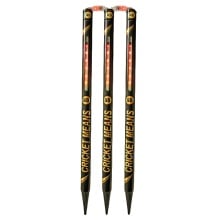 SS Glory LED Cricket Stumps