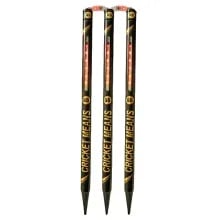 SS Glory LED Cricket Stumps SS Glory LED Cricket Stumps