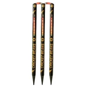 SS Glory LED Cricket Stumps