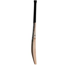 SS Pro 1.0 English Willow Cricket Bat