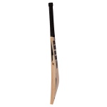 SS Ton Limited Edition English Willow Cricket Bat