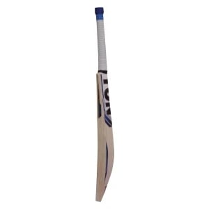 SS Ton Player Edition Cricket Bat SS Ton Player Edition English Willow Cricket Bat