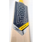 SS Ton Masuri pro1 English Willow Cricket Bat