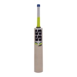 SS T20 Storm English Willow Cricket Bat