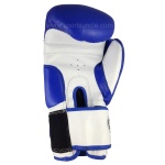 Shiv Naresh Trenz Championship Boxing Gloves, Punching Gloves - 10 oz
