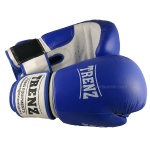 Shiv Naresh Trenz Championship Boxing Gloves, Punching Gloves - 10 oz