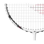 Yonex Nanoray 60FX Badminton Racket