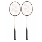 Yonex GR 303i (Pack of 2) Badminton Racket