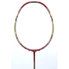 Yonex Nanoray 900 SE Badminton Racket