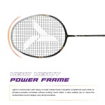 Young GT 100 Badminton Racket