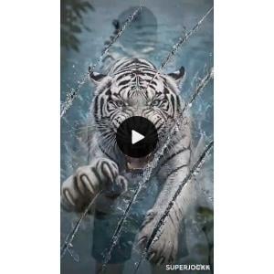 Superjockk White Tiger Round Neck Tshirt Superjockk White Tiger Round Neck Tshirt