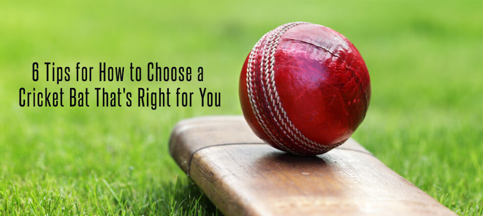 How to Buy a Cricket Bat? 