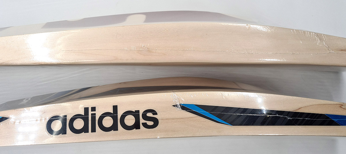 spine of the cricket bat