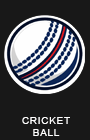 cricket ball
